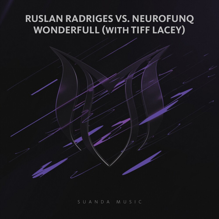 Ruslan Radriges vs Neurofunq & Tiff Lacey - Wonderfull (extended mix)