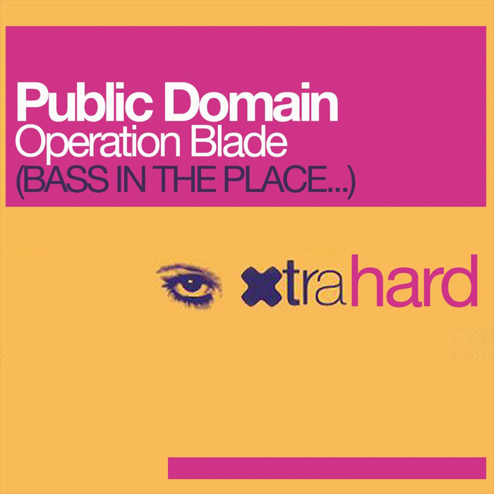 Public Domain - Operation Blade (Bass in the Place) (12' Mix)