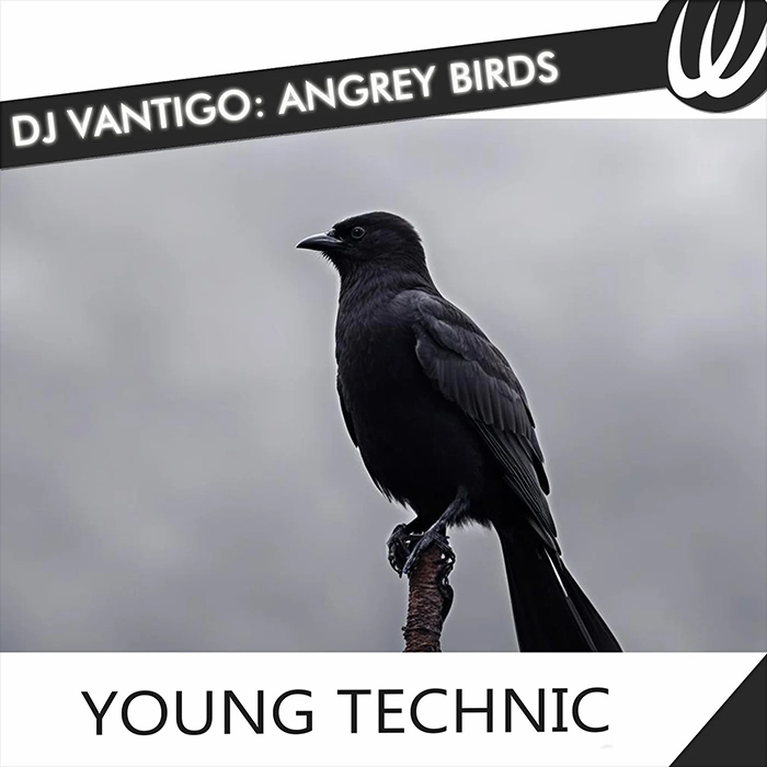 DJ Vantigo - Angrey Birds [2024]
