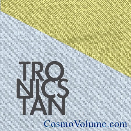 Tronicstan [2010]
