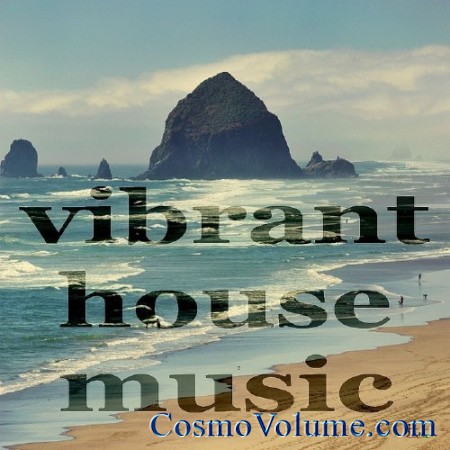 Vibrant House Music (Deeper Minitech Compilation) [2011]