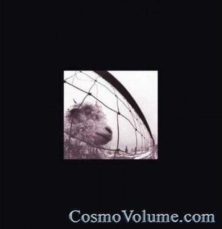 Pearl Jam - Vs. / Vitalogy [2011]