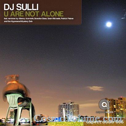 DJ Sulli - U Are Not Alone [2011]