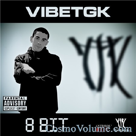 VibeTGK - 8-Bit [2011]