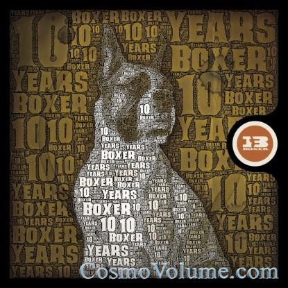 10 Years of Boxer [2012]
