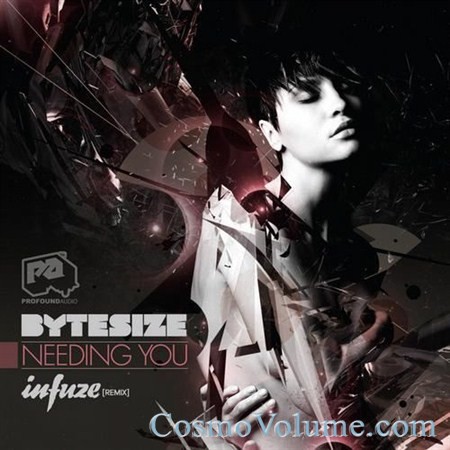 Bytesize - Needing You [2012]