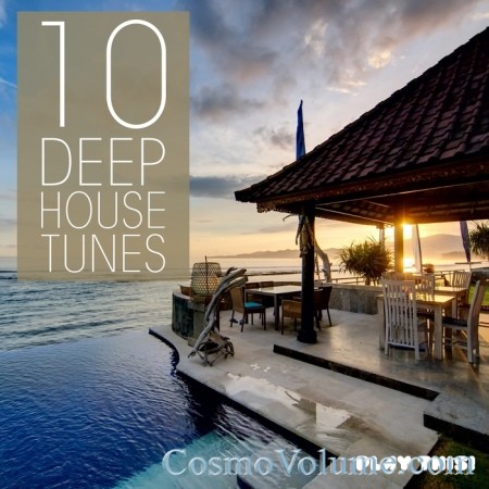10 Deep House Tunes [2013]
