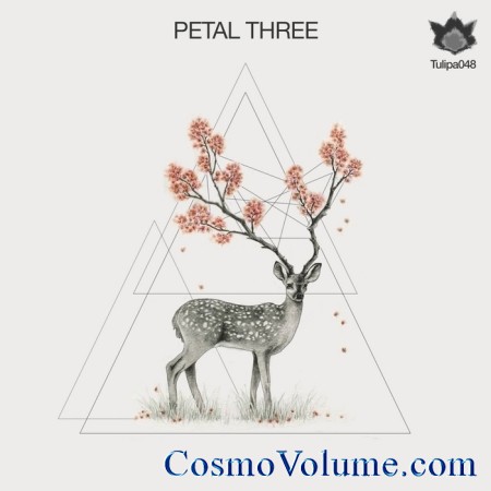 Petal Three [2013]