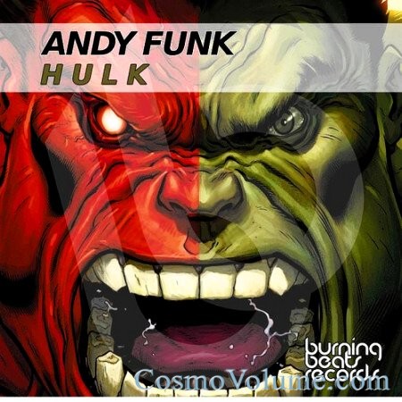 Andy Funk - Hulk [2014]