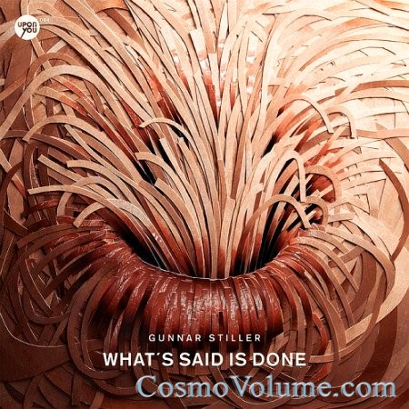 Gunnar Stiller - What`s Said Is Done [2014]