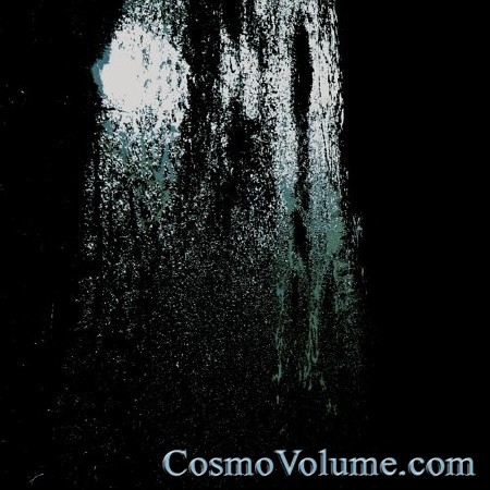 Bengalfuel - Reidy [2015]