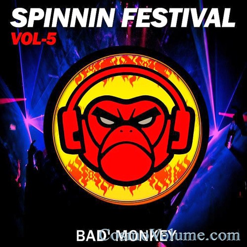 Spinnin Festival (Vol. 5) [2015]