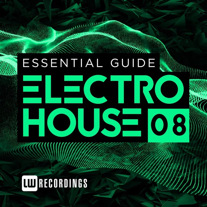 Essential Guide: Electro House (Vol. 8) [2016]