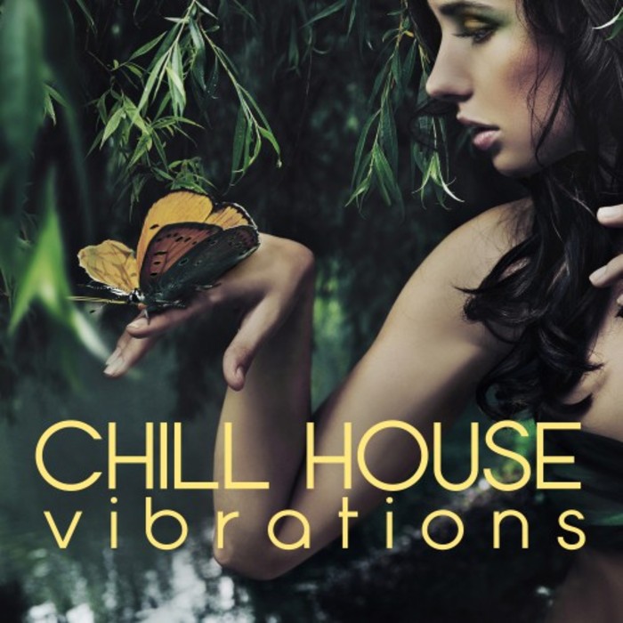 Chill House Vibrations [2016]