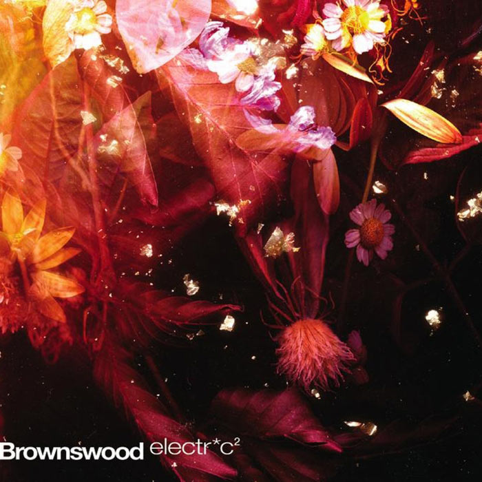 Brownswood Electric 2 [2011]