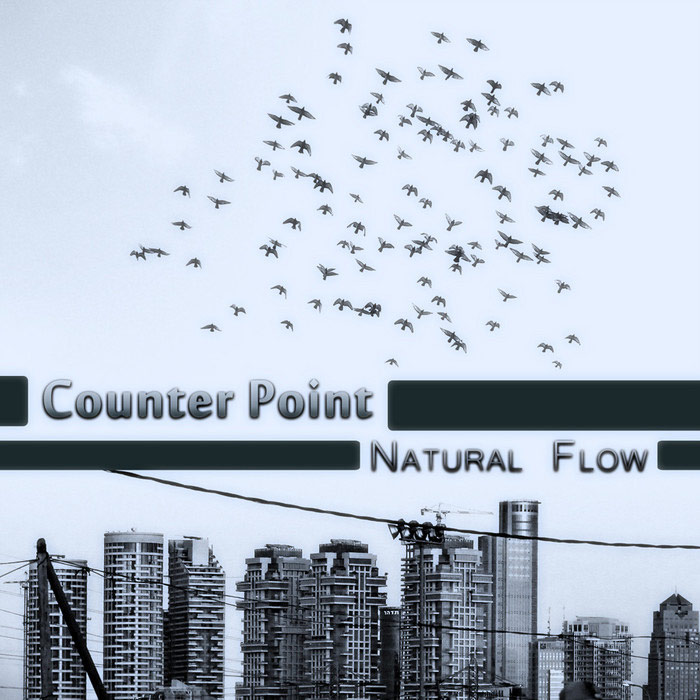 Counter Point - Natural Flow [2011]