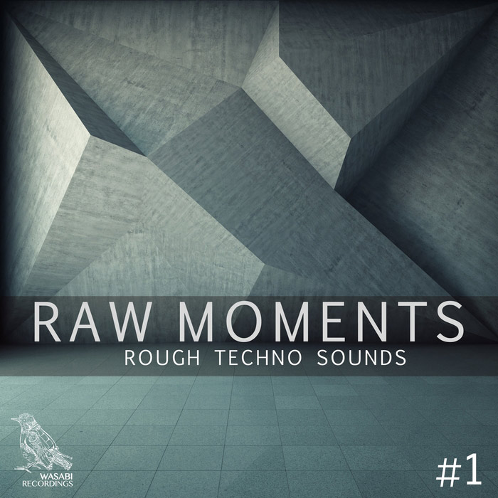 Raw Moments Vol. 1 (Rough Techno Sounds) [2017]