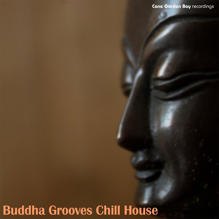 Buddha Grooves Chill House [2011]