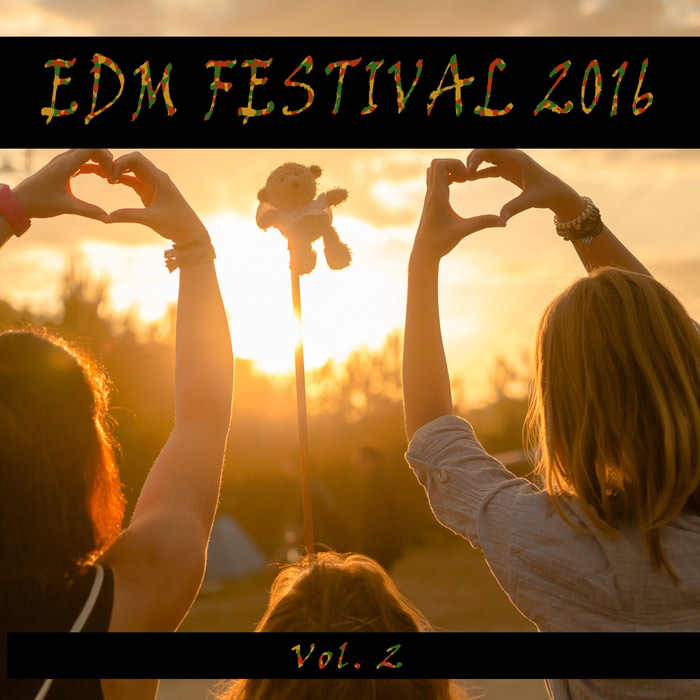 EDM Festival 2016 (Vol. 2) [2016]