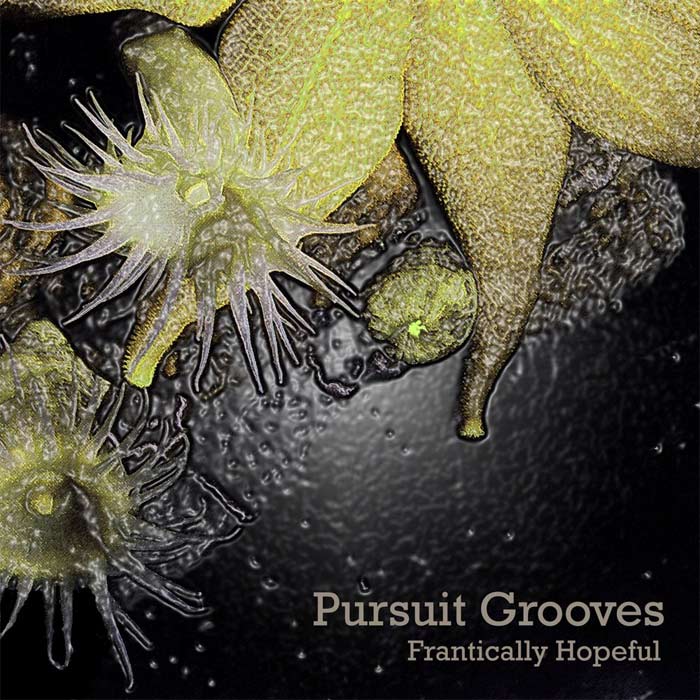Pursuit Grooves - Frantically Hopeful [2011]