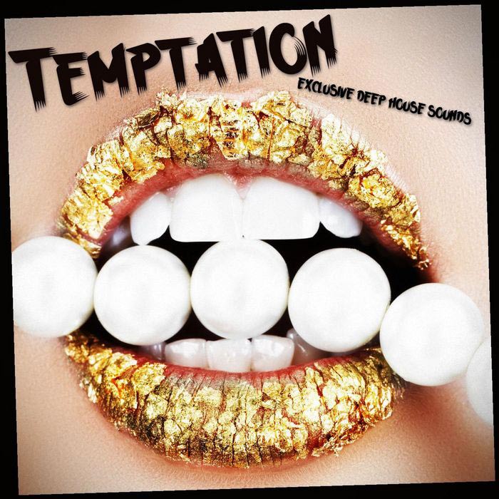Temptation: Exclusive Deep House Sounds [2013]