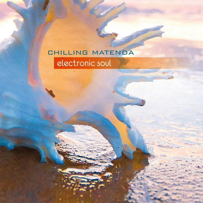 Chilling Matenda - Electronic Soul [2011]