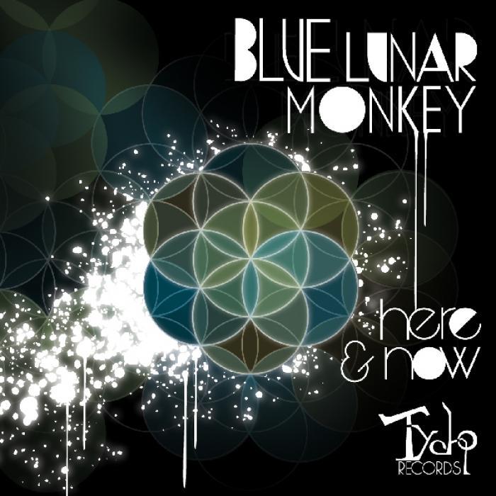 Blue Lunar Monkey - Here and Now [2011]