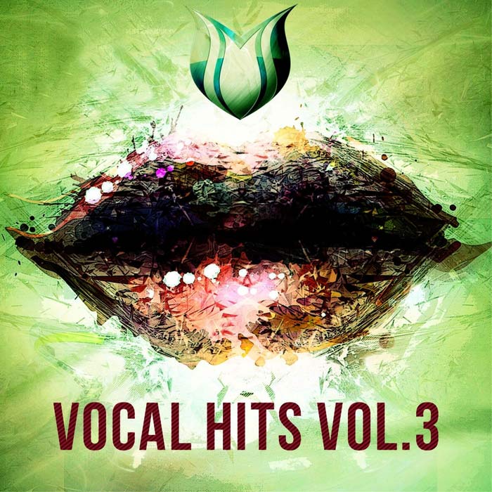 Vocal Hits (Vol. 3) [2017]