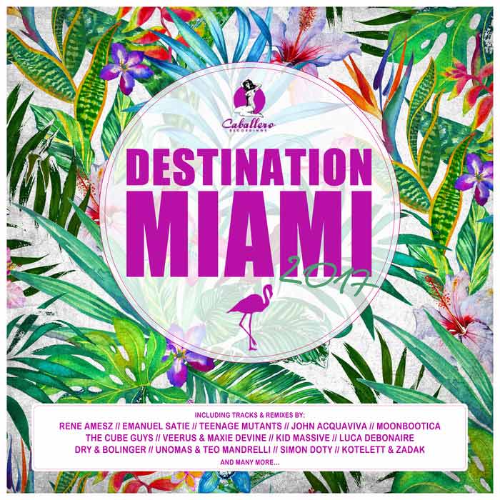 Destination: Miami 2017 [2017]