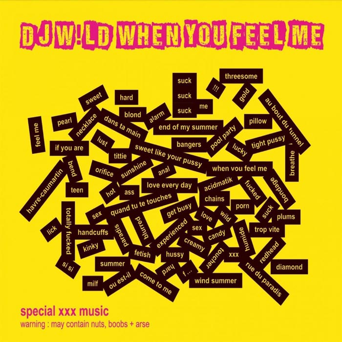 DJ WILD - When You Feel Me [2014]