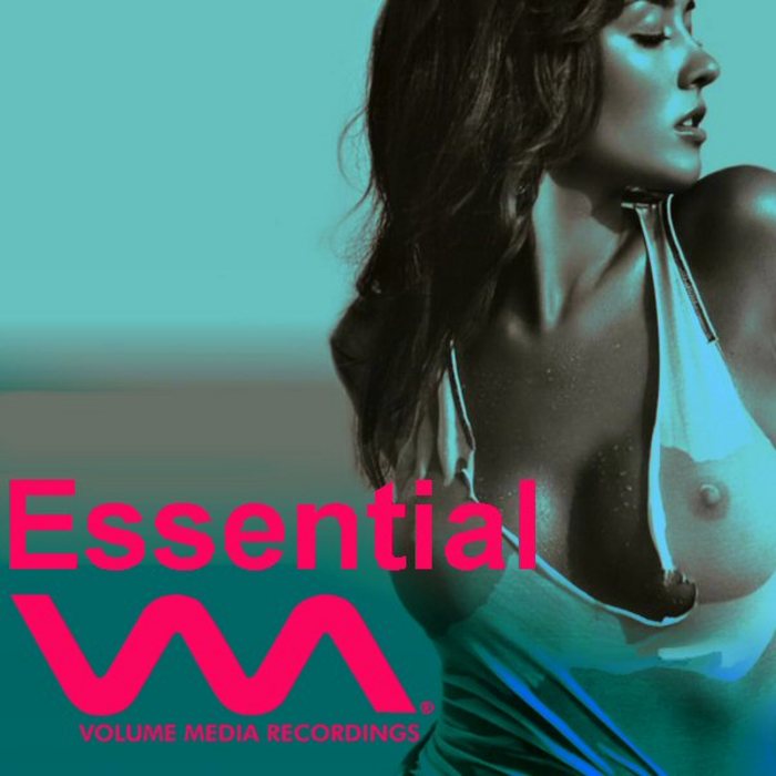 Volume Media Essential [2011]