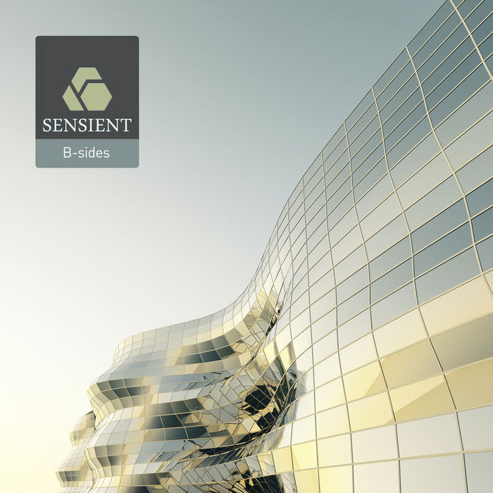 Sensient - B-Sides [2015]
