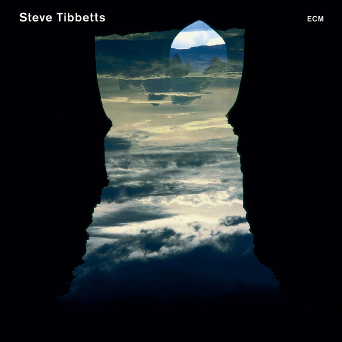 Steve Tibbetts - Natural Causes [2010]