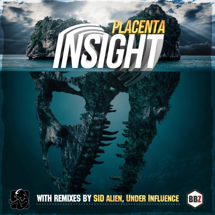 Placenta - Insight