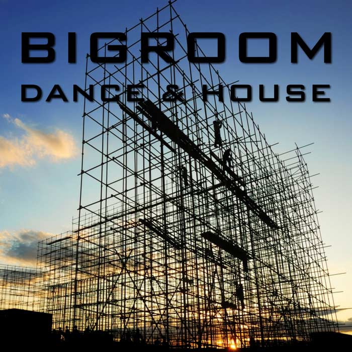 Bigroom Dance & House [2012]