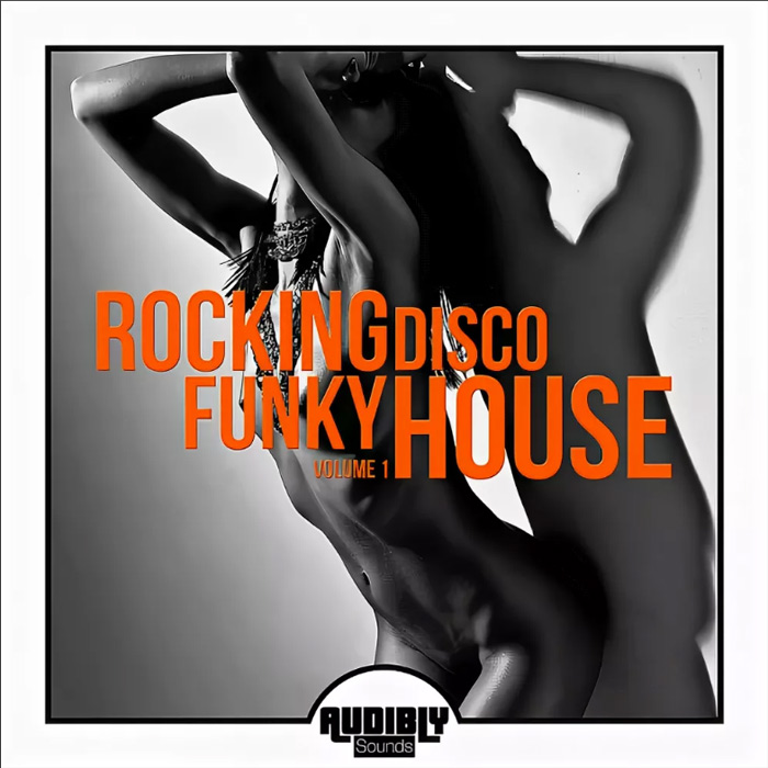 Rocking Funky Disco House (Vol. 1) [2017]