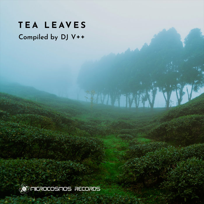 Tea Leaves [2019]