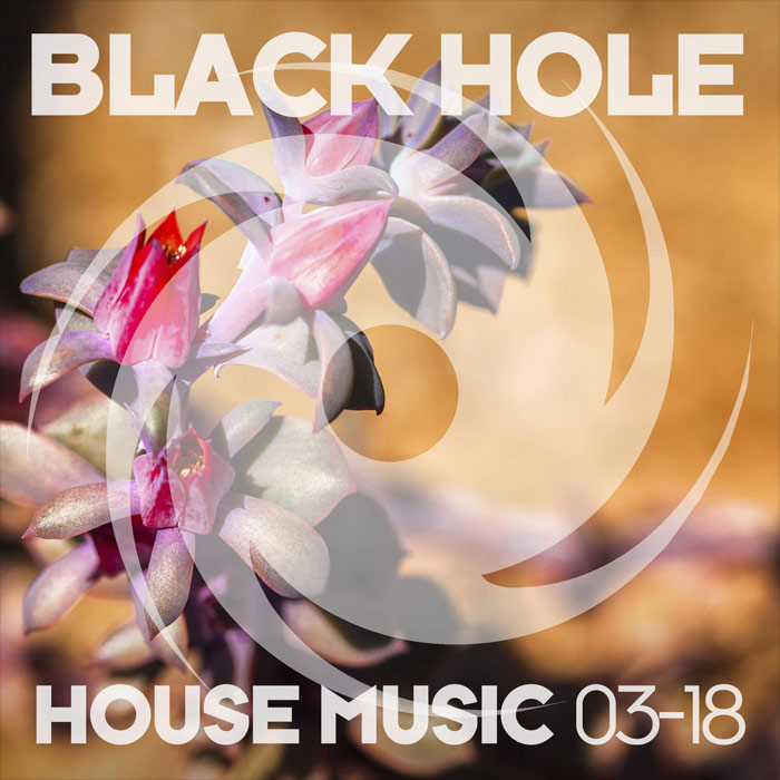Black Hole House Music 03-18 [2018]