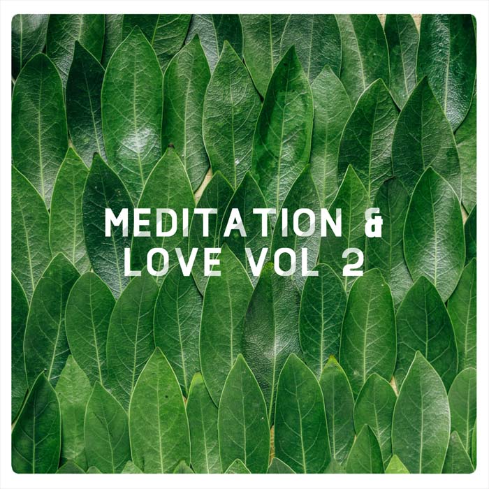 Meditation & Love (Vol. 2) [2020]