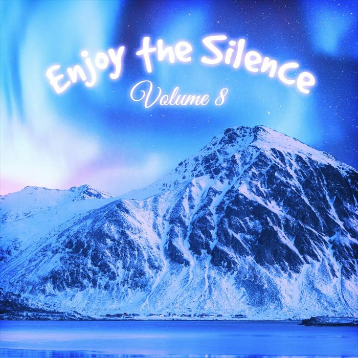 Enjoy The Silence (Vol. 8) [2020]