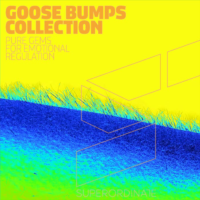 Goose Bumps Collection [2020]