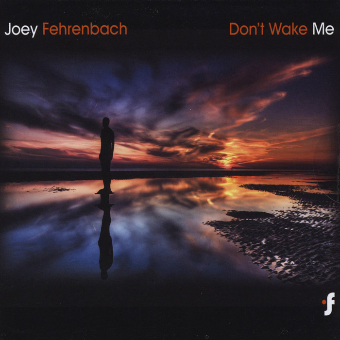 Joey Fehrenbach - Don't Wake Me [2010]