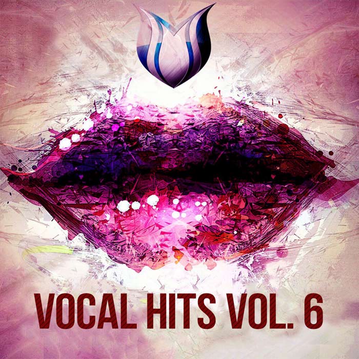 Vocal Hits (Vol. 6) [2020]