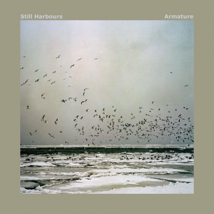 Still Harbours - Armature [2020]