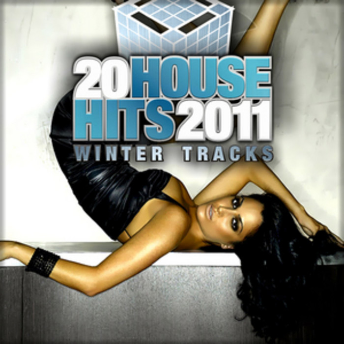 20 House Hits 2011 (Winter Tracks) [2010]