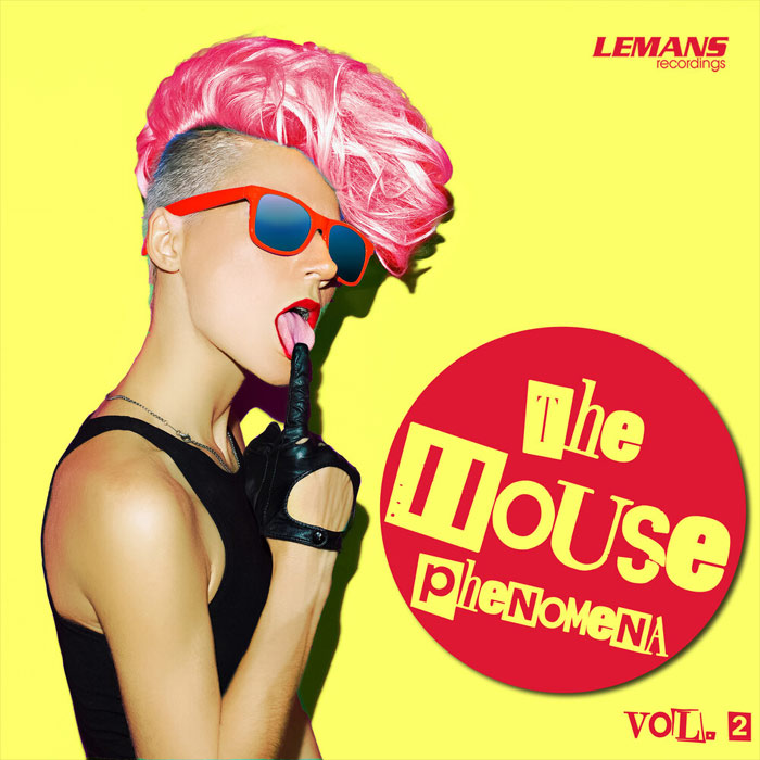 The House Phenomena (Vol. 2)