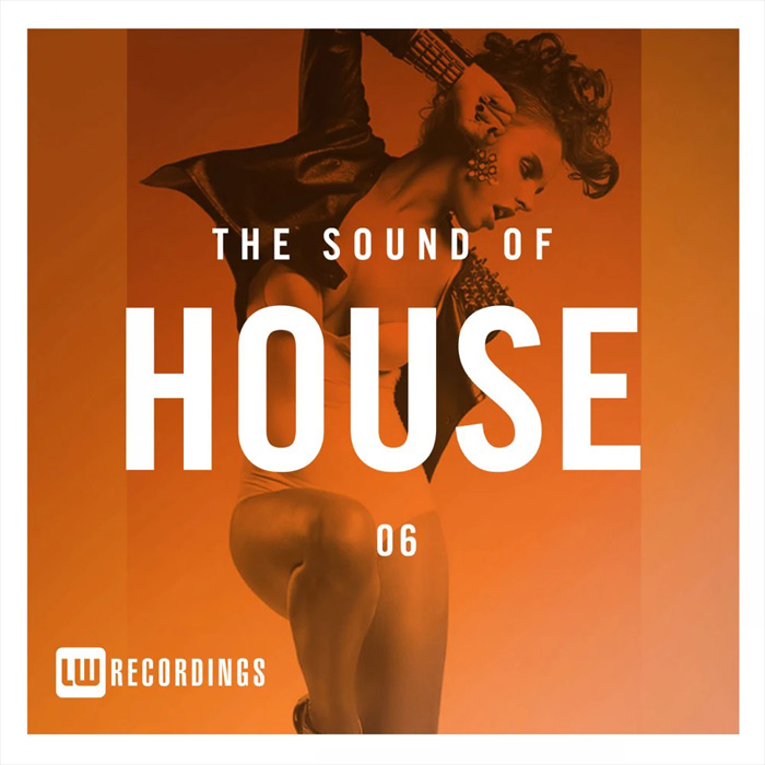 The Sound Of House (Vol. 06) [2017]