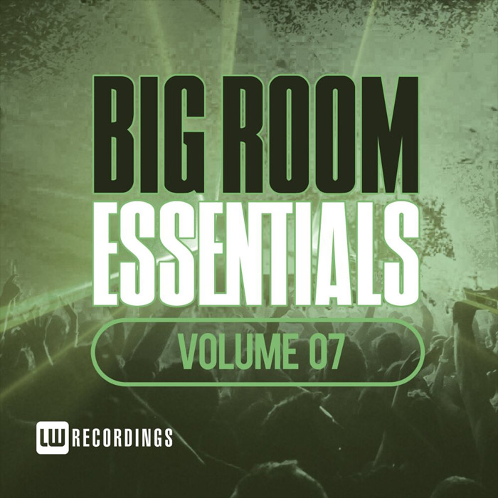 Big Room Essentials (Vol. 07) [2017]