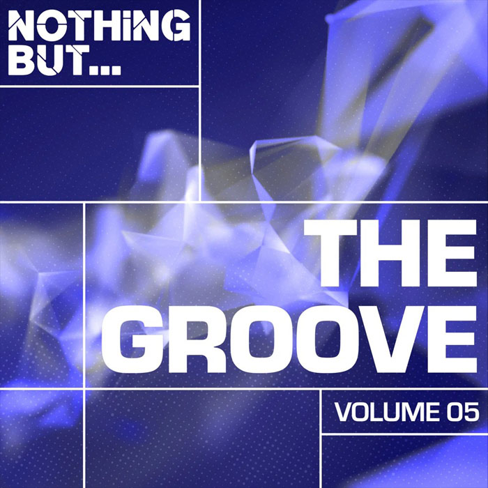 Nothing But... The Groove (Vol. 05)