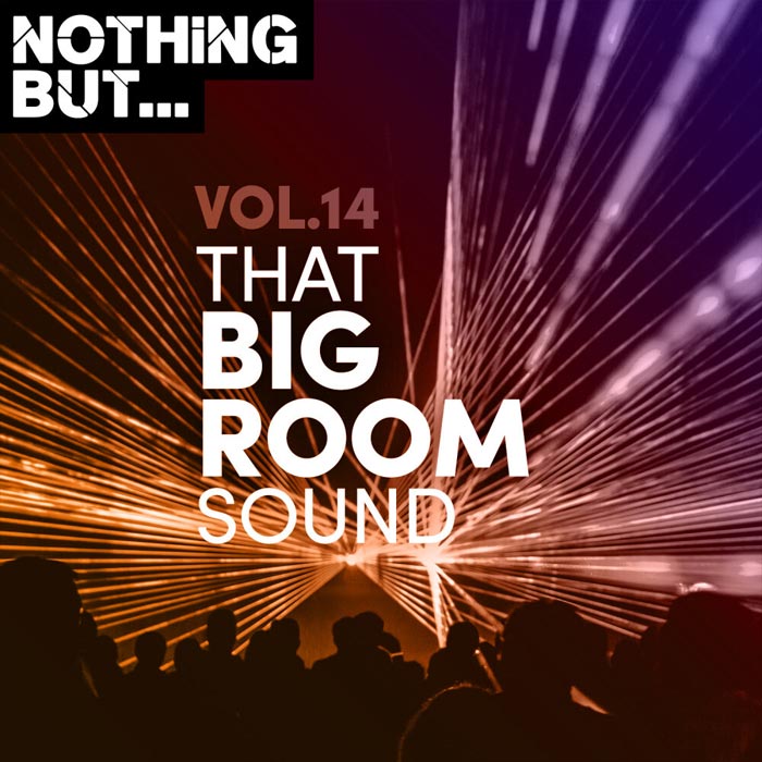 Nothing But... That Big Room Sound (Vol. 14) [2020]